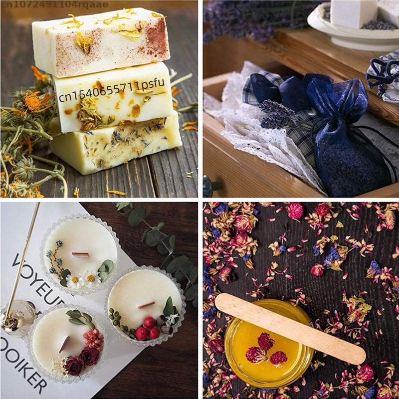 ดอกฟอร์เก็ตมีน็อตแห้งธรรมชาติส - Candle Making Raw Material บทวิจารณ์และราคา