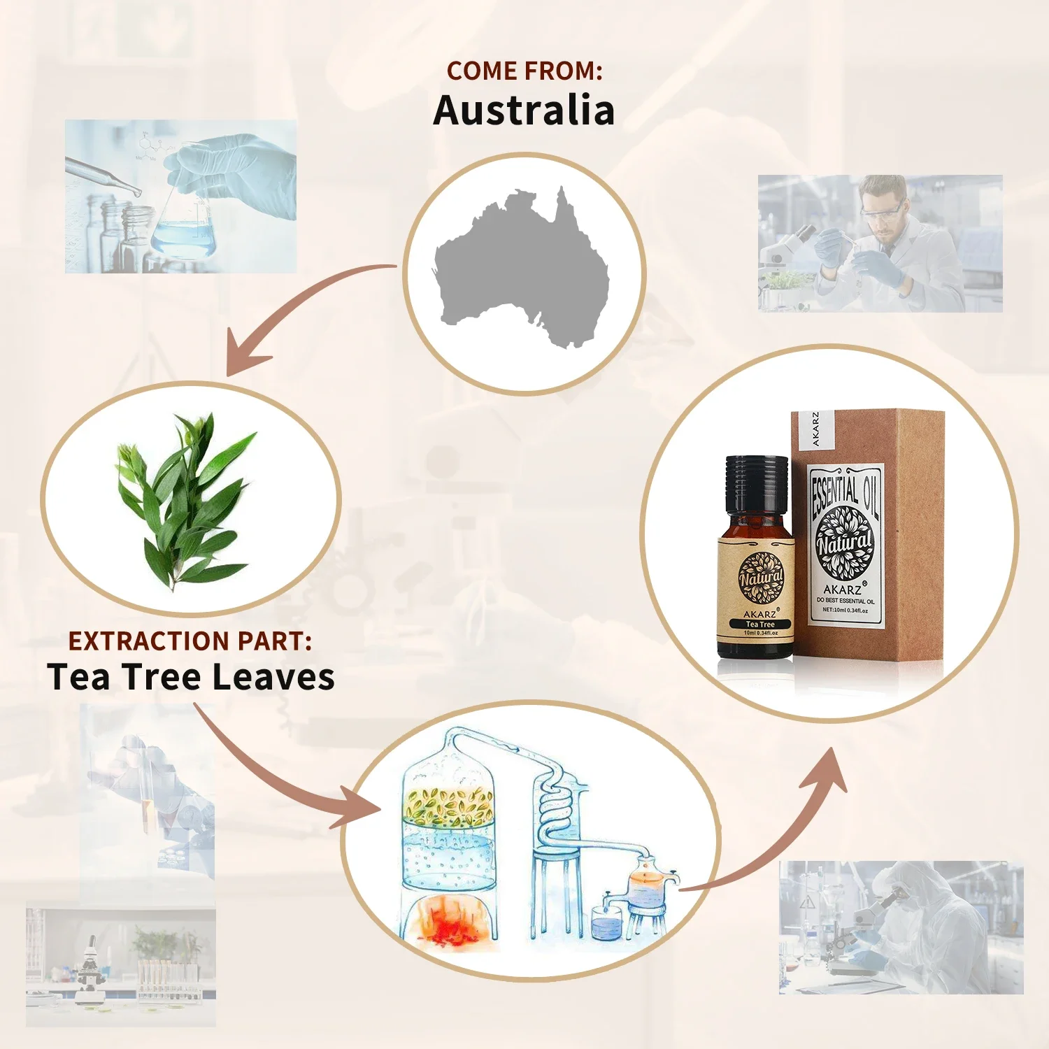 AKARZ น้ํามันหอมระเหยโรสแมรี่ธ - Candle Making Raw Material บทวิจารณ์และราคา